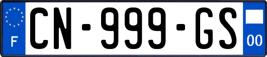 CN-999-GS