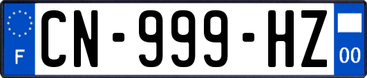 CN-999-HZ