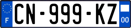 CN-999-KZ