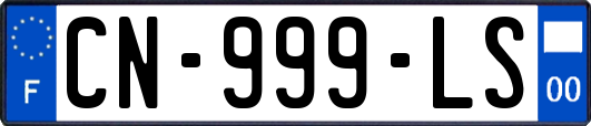 CN-999-LS