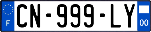 CN-999-LY