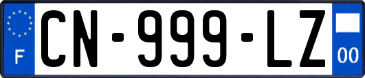CN-999-LZ