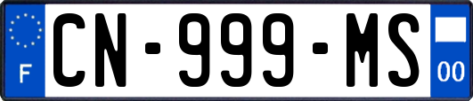 CN-999-MS