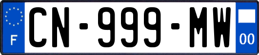 CN-999-MW