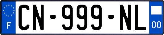 CN-999-NL