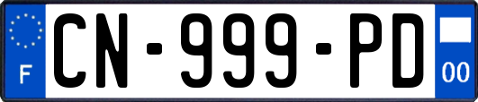 CN-999-PD