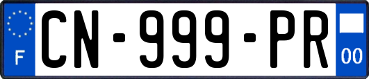 CN-999-PR