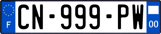 CN-999-PW