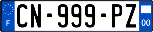 CN-999-PZ