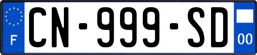 CN-999-SD