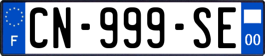 CN-999-SE