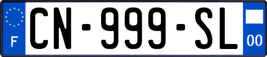 CN-999-SL