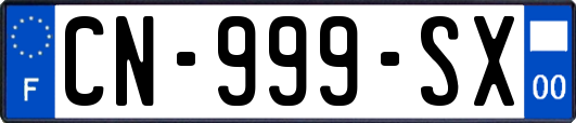 CN-999-SX