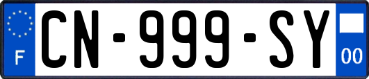 CN-999-SY