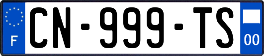 CN-999-TS