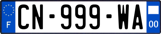 CN-999-WA