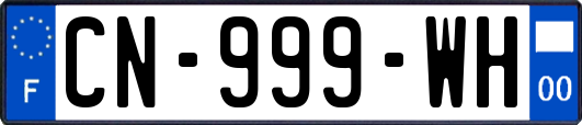 CN-999-WH