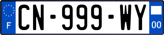 CN-999-WY