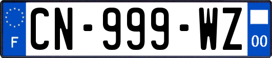 CN-999-WZ