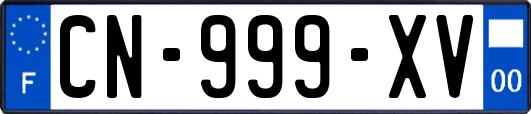 CN-999-XV