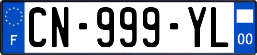 CN-999-YL