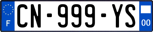 CN-999-YS