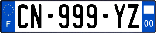 CN-999-YZ