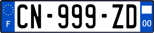 CN-999-ZD