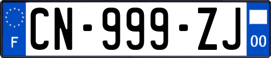 CN-999-ZJ