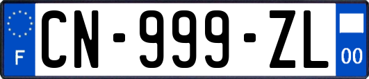 CN-999-ZL