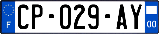 CP-029-AY