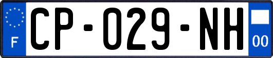 CP-029-NH