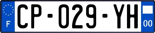 CP-029-YH