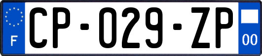 CP-029-ZP