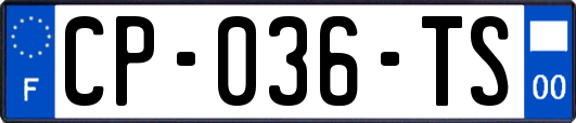 CP-036-TS