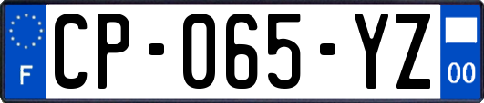 CP-065-YZ