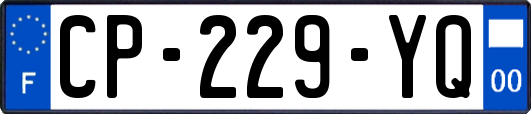 CP-229-YQ