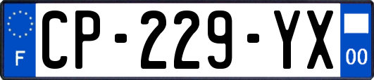 CP-229-YX