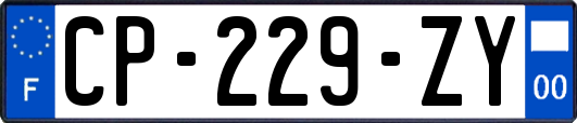 CP-229-ZY