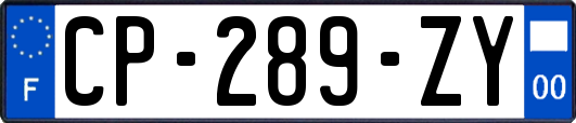 CP-289-ZY