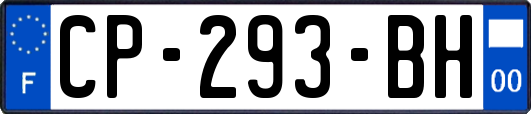 CP-293-BH