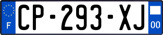 CP-293-XJ