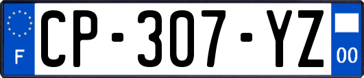 CP-307-YZ