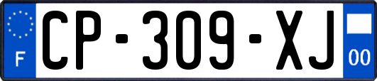 CP-309-XJ