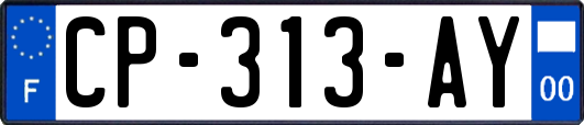 CP-313-AY