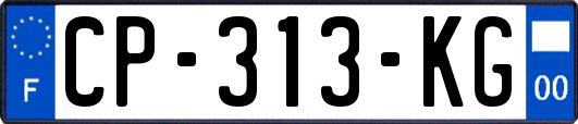 CP-313-KG