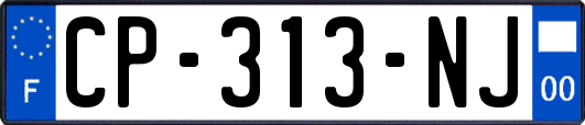CP-313-NJ