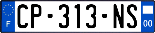 CP-313-NS