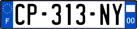 CP-313-NY