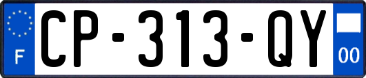 CP-313-QY